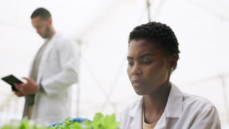 plants, agriculture and woman scientist