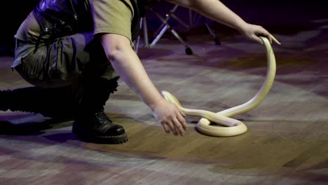 snake performer on stage