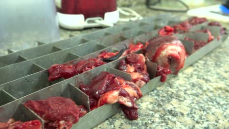 samples in slaughterhouse laboratory for horse meat industry