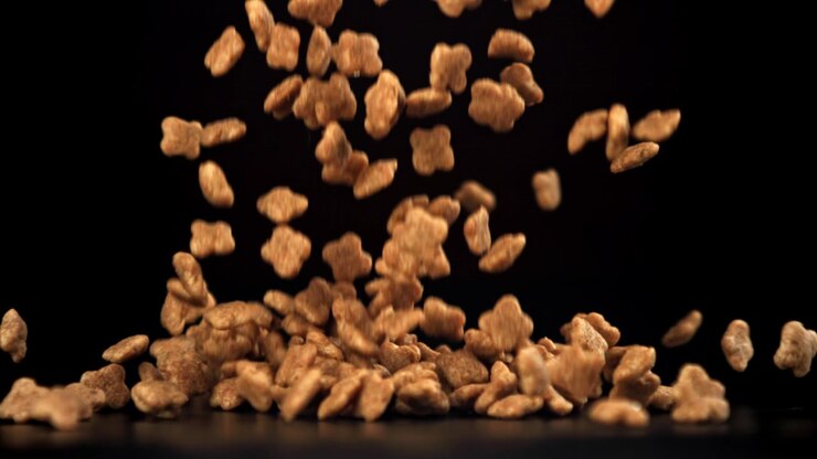 Trockenfutter-Pellets fallen in Zeitlupe auf schwarzen Hintergrund