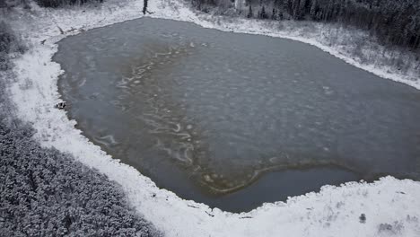 aerial drone view of a frozen bog lake in winter