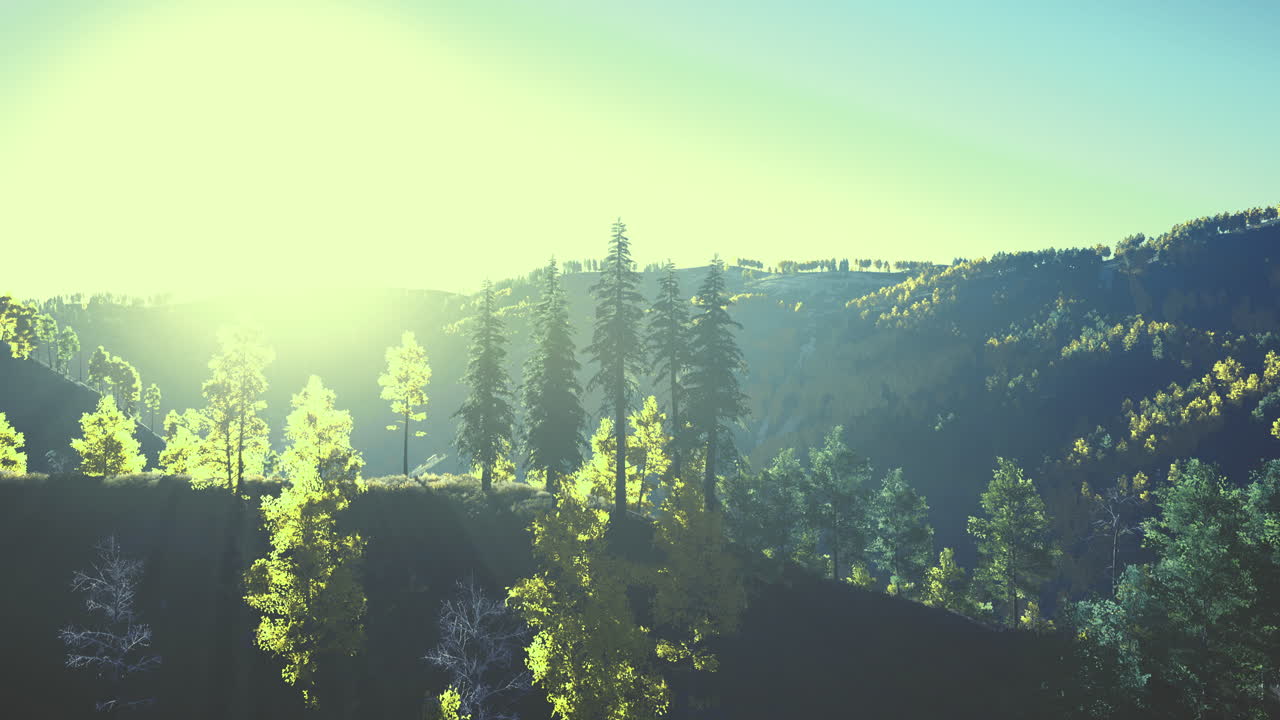 해가 새벽에 조용한 산악 풍경에서 나무를 통해 필터링