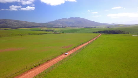 How-beautiful-and-green-the-farm-is