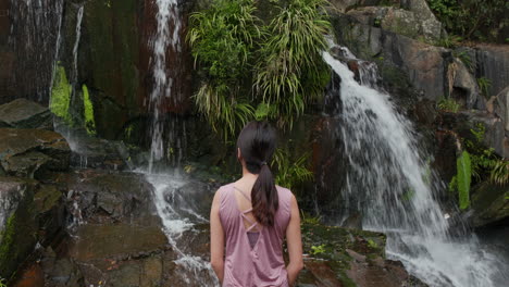 waterfall in the river of a tropical forest