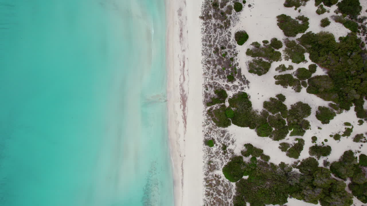 de arriba hacia abajo en la playa de arena blanca de es trenc en mallorca, españa