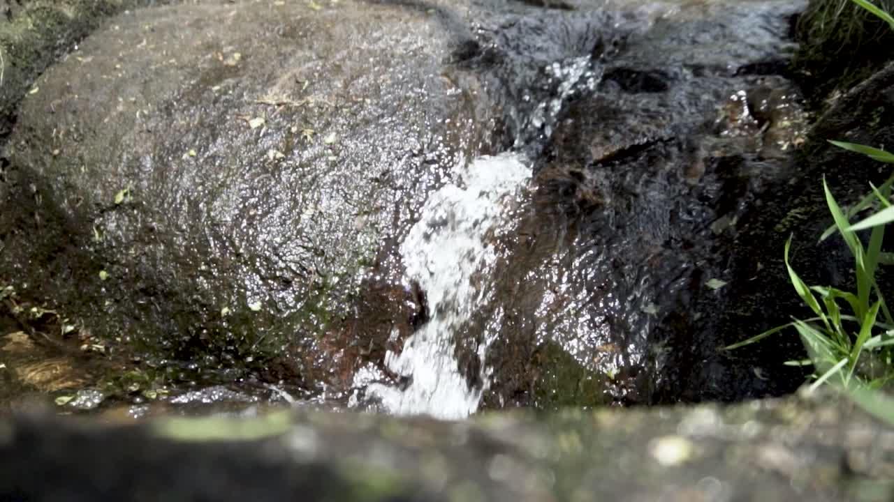 Elegant small mountain stream trickling clean, clear water over a rock