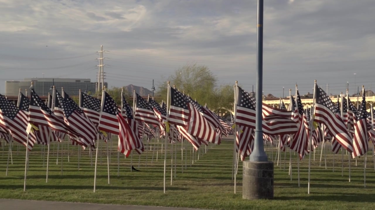 Slow motion pan left across hundreds of American flags blowing in the wind at a solemn sunset 9-11 memorial event in a grassy park with no people visible.