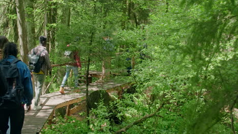people hiking on a wooden walkway in a forest