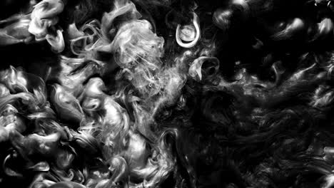 nube de tinta de movimiento mezcla negra blanca girando