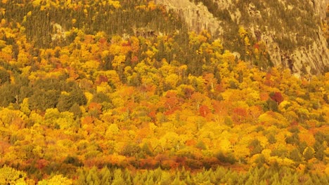 La-Toma-Inclinada-Revela-La-Montaña-Borestone-Sobre-Un-Bosque-De-Colores-Otoñales-A-La-Luz-Del-Sol