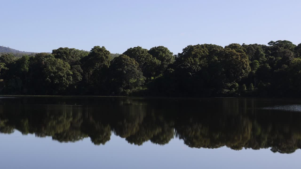 물 표면 에 반사 되는 나무 들 이 있는 평온 한 호수