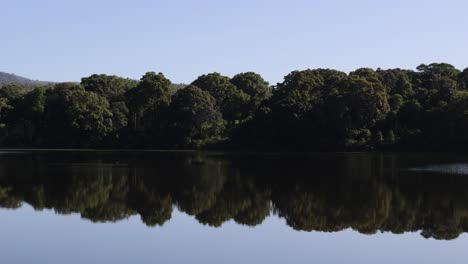 lago sereno con árboles que se reflejan en la superficie del agua