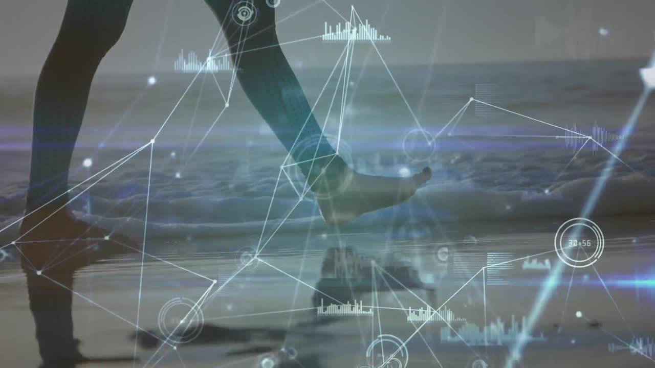 해변에서  ⁇ 는 백인 여성에 대한 데이터 처리 및 연결 네트워크의 애니메이션