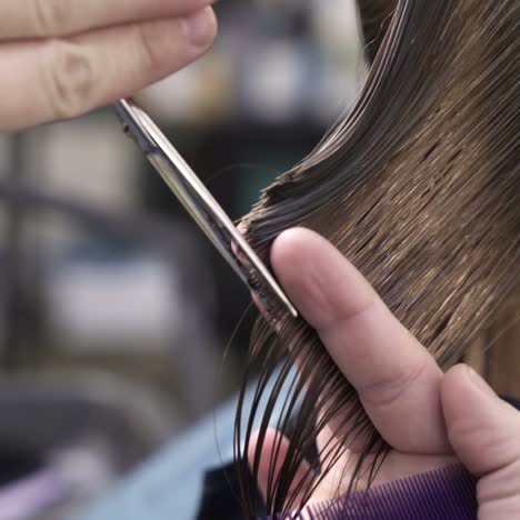 proceso de creación de estilo de cabello