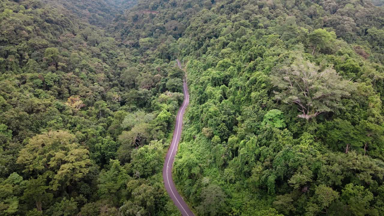 vista aérea de la carretera remota sobre la cima de la montaña con selva verde en la isla de sumbawa, indonesia