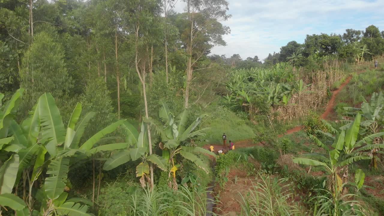 물을 모으는 정글 개울에서 아프리카인을 보여주는 앞으로 움직이는 공중 샷