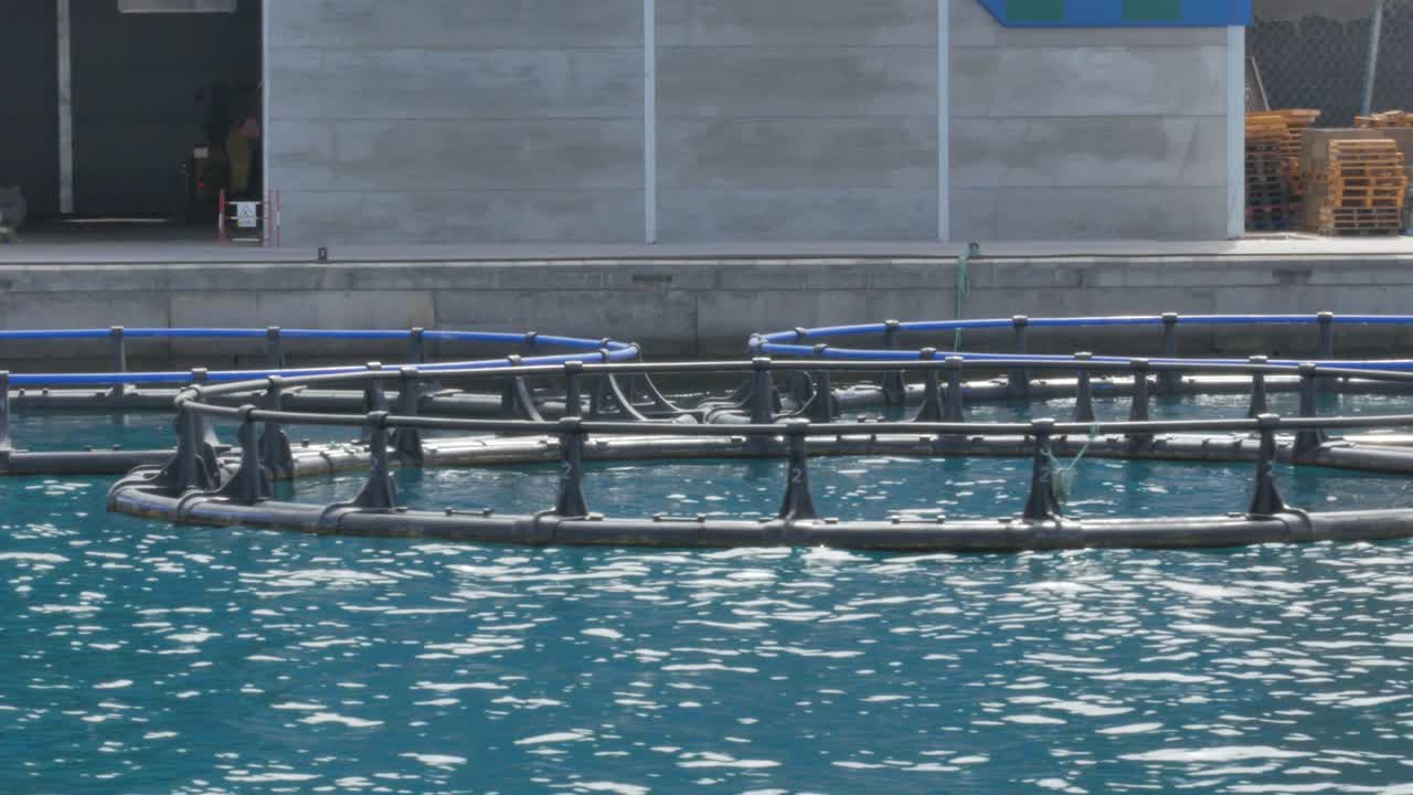 Lateral scrolling shot from a boat of some aquaculture cages