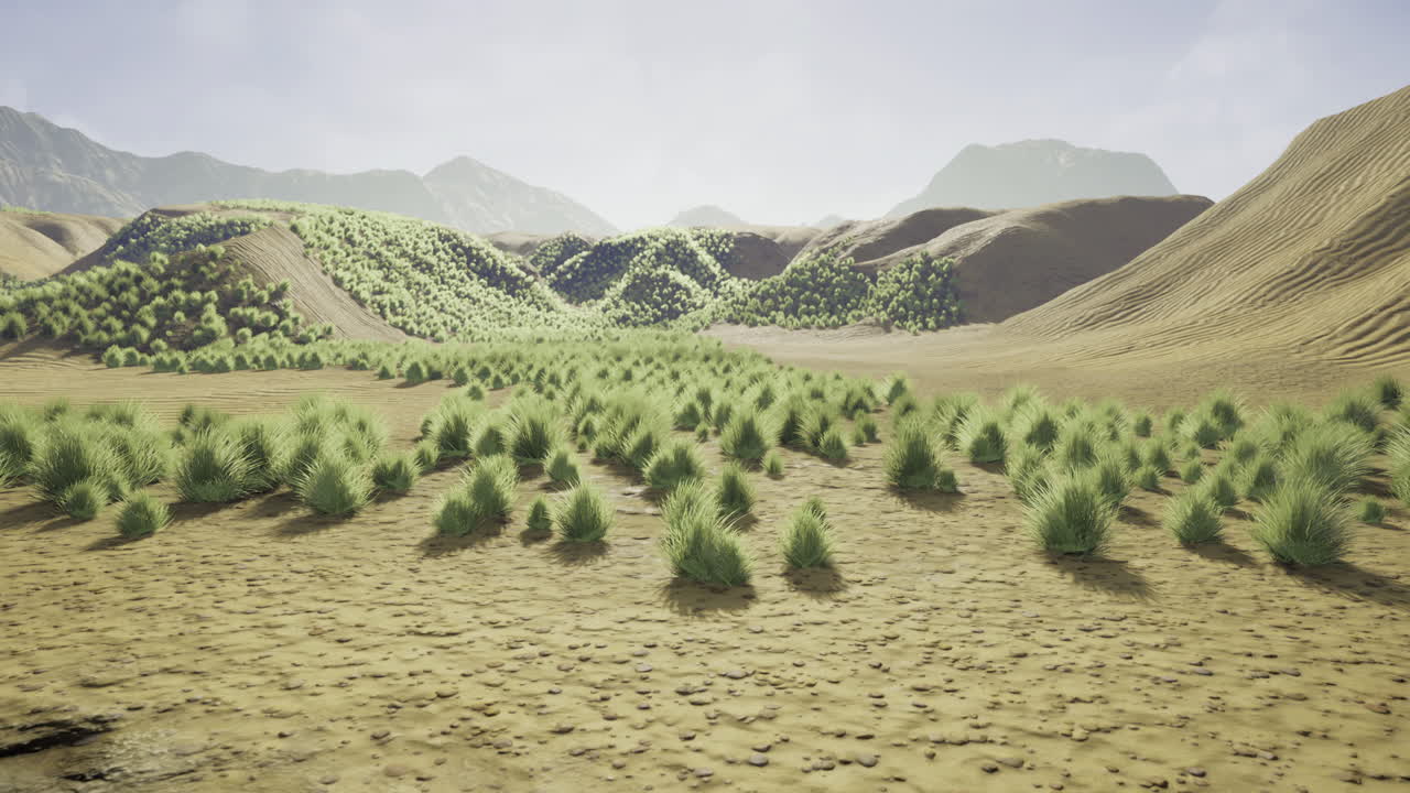 Desert landscape filled with vibrant green shrubs under a bright sky