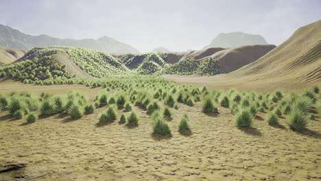 desert landscape filled with vibrant green shrubs under a bright sky