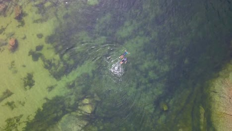 vista aérea de pájaro de una pareja buceando sobre rocas de arrecifes de coral