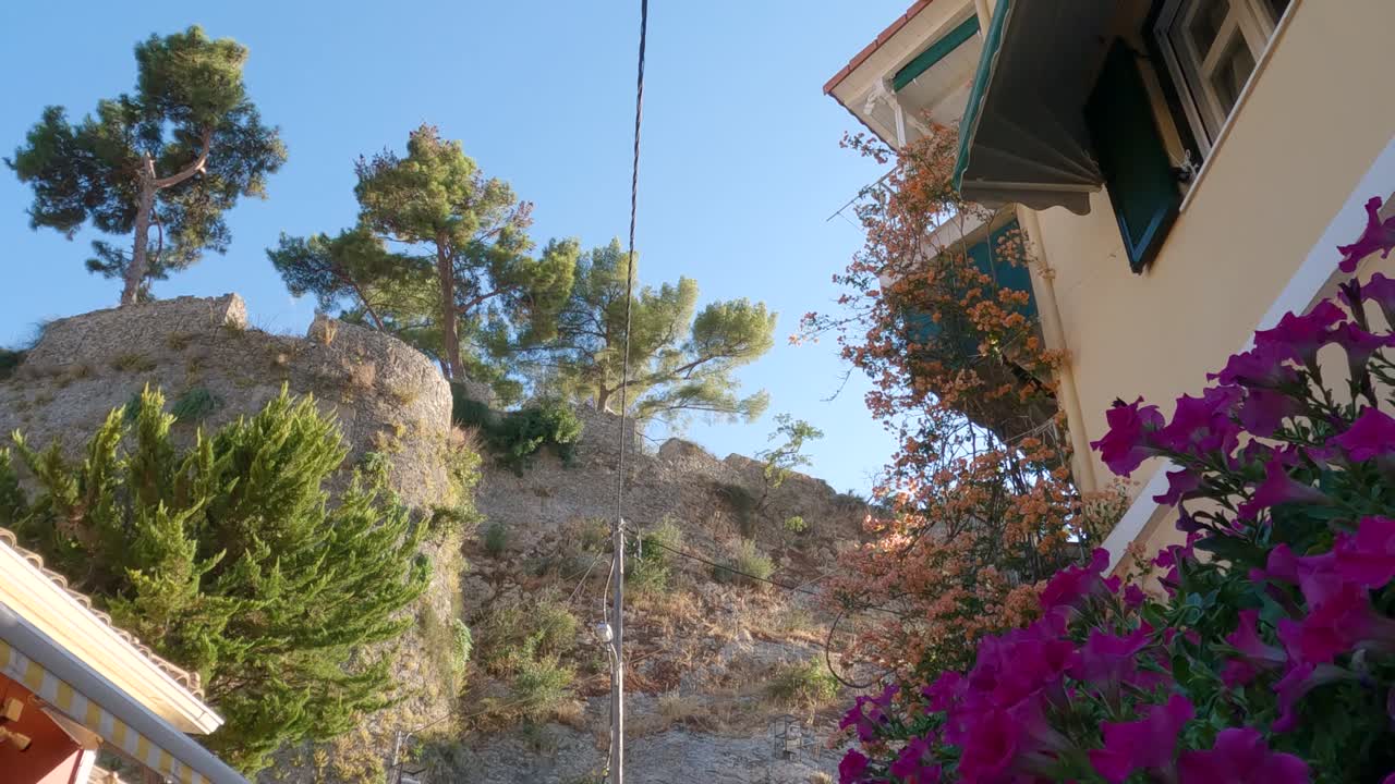 그리스 파르가 내 뒷골목에서 활기찬 꽃의 패닝 샷