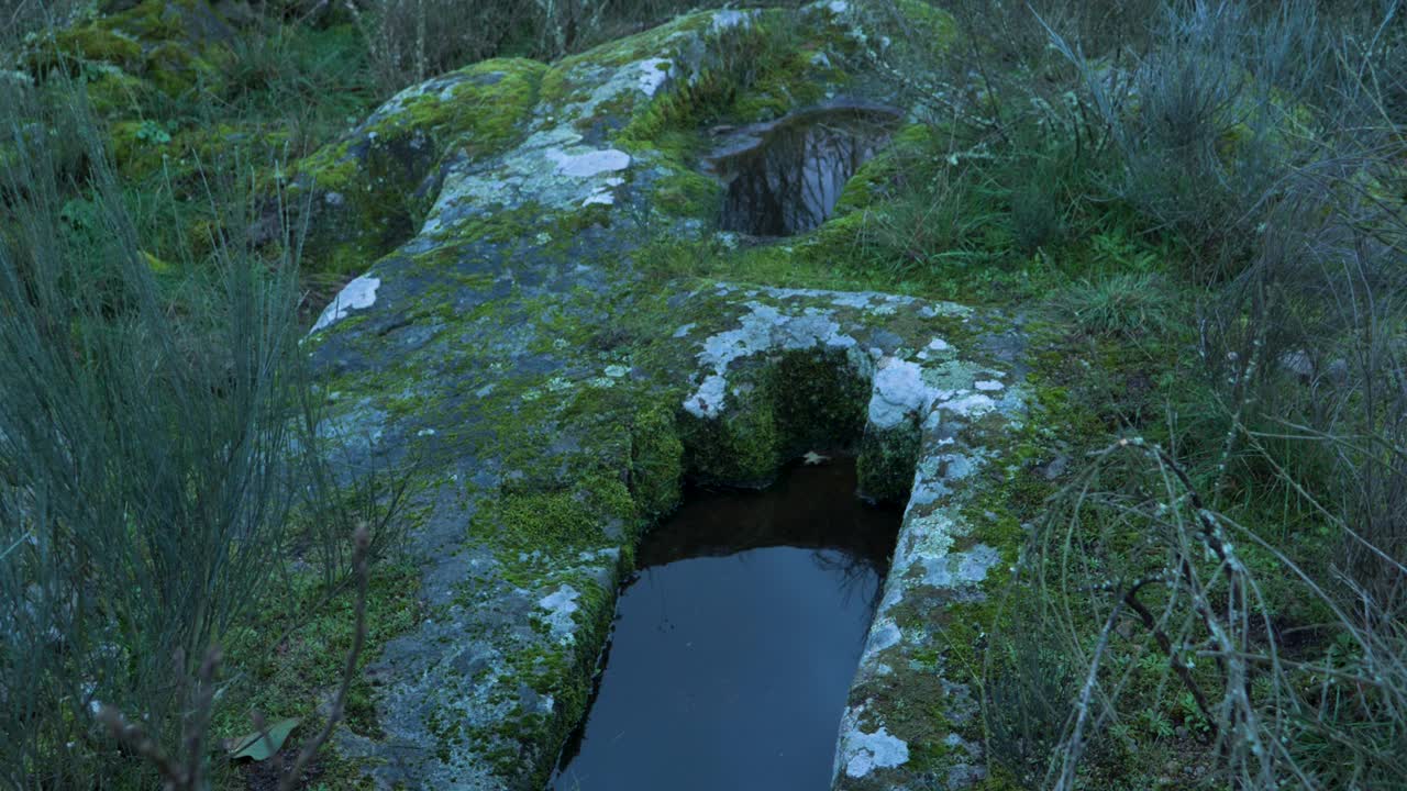 View of Anthropomorphic burial tombs covered with lichens and leafless shrubs on cloudy day