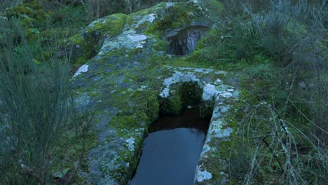 View-of-Anthropomorphic-burial-tombs-covered-with-lichens-and-leafless-shrubs-on-cloudy-day