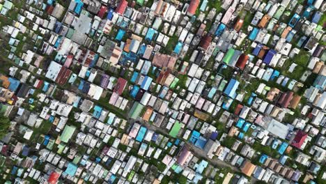 top-down aerial view of a densely packed cemetery with colorful tombs in dili