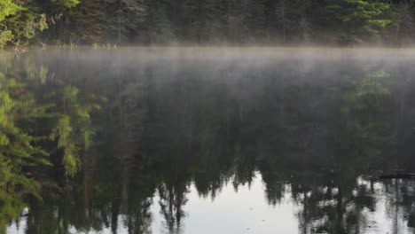 Aumento-De-Vapor-Y-Reflejo-De-árboles-En-El-Lago,-Hermoso-Paisaje-Canadiense