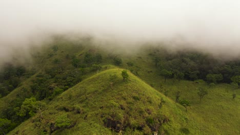 tropical green forest in the mountains and jungle hills.