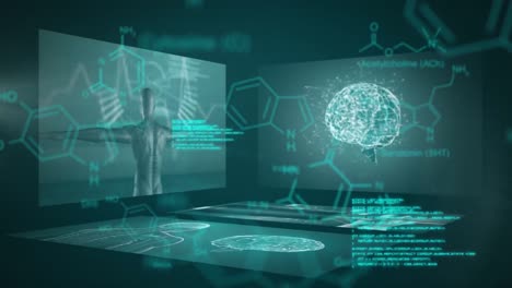 Digitally-generated-video-of-medical-data-processing