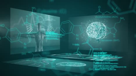 vídeo generado digitalmente del procesamiento de datos médicos