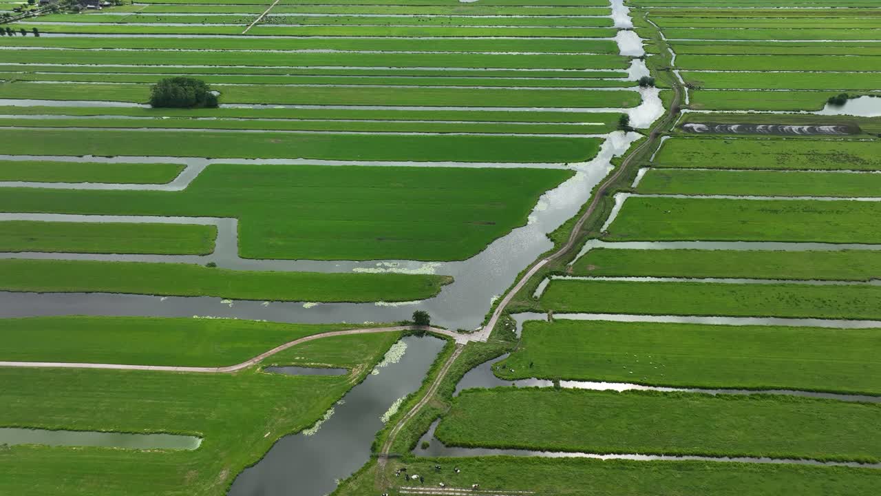 canales de agua entre campos de cinta verde en la zona del pólder holandés