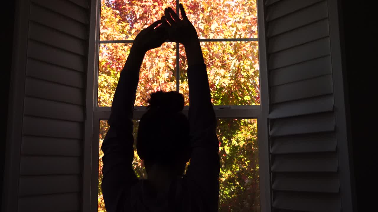 4k 가을 스톡 푸티지 비디오