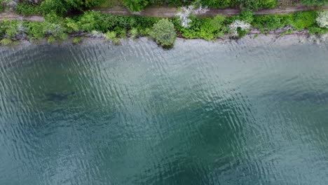 Rising-drone-shot-of-a-lake-shoreline