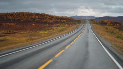 a narrow two-lane road goes through the autumn tundra