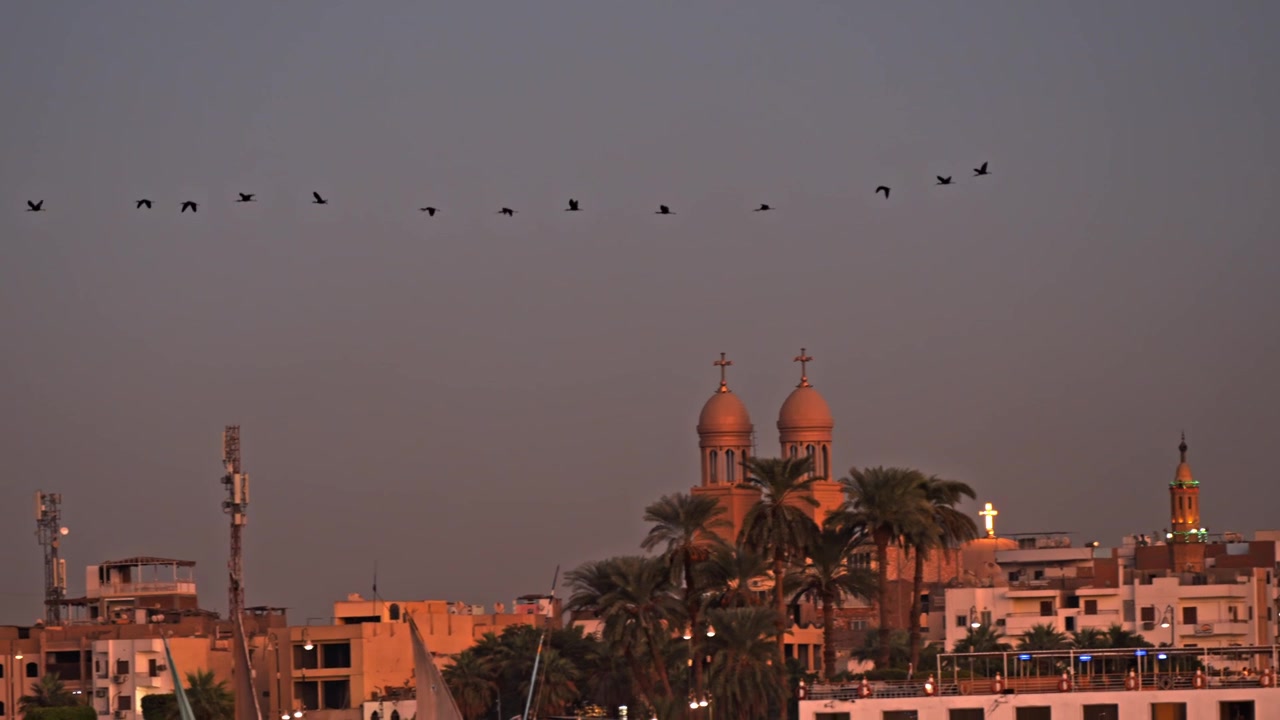 Una vista panoramica al crepuscolo mostra uno stormo di uccelli che vola in formazione attraverso un cielo arancione vibrante sopra il fiume Nilo a Luxor, Egitto.