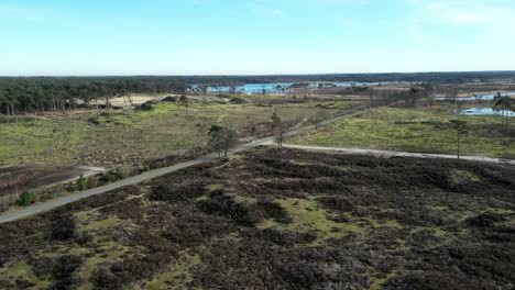 kalmthoudste heide volando sobre una zona de deforestación hacia los humedales