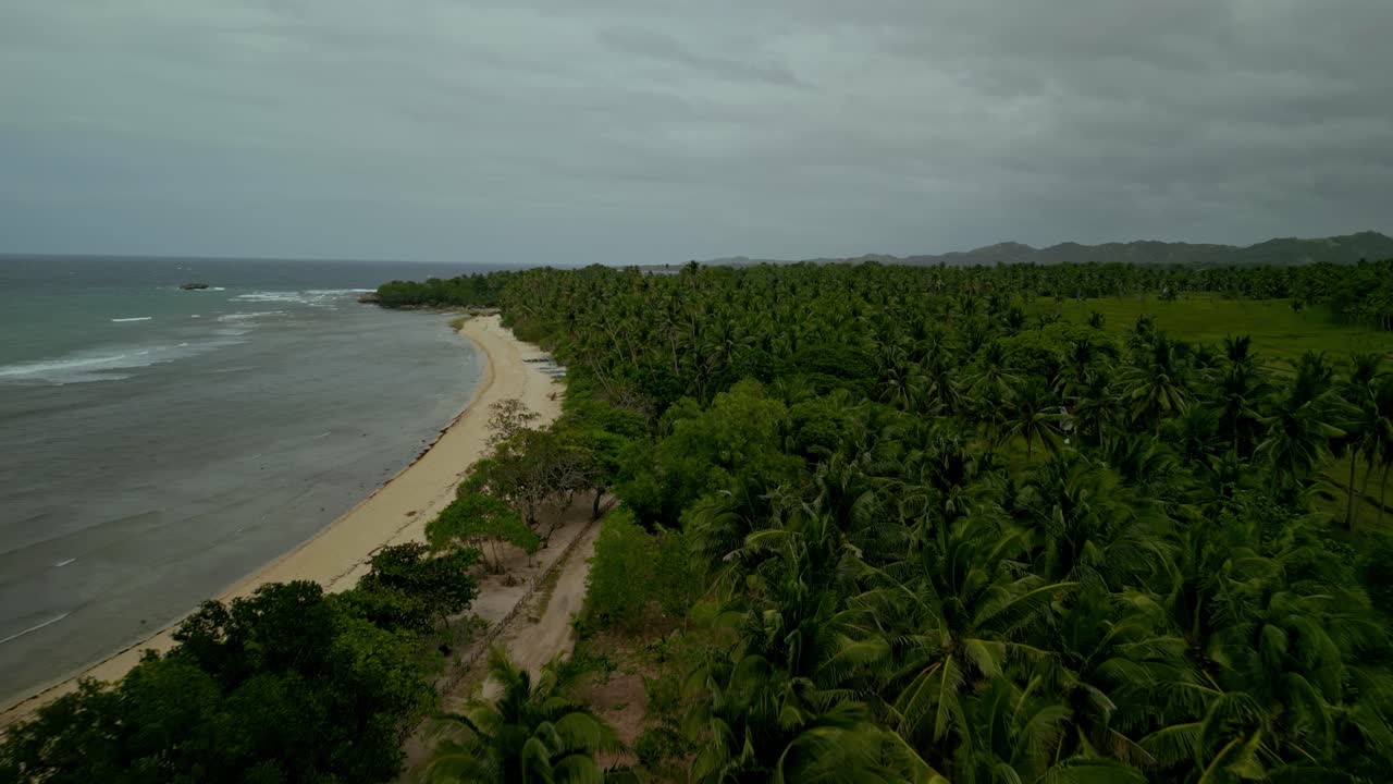 palmeras junto a la playa de arena y el océano abierto en filipinas, antena aérea hacia adelante