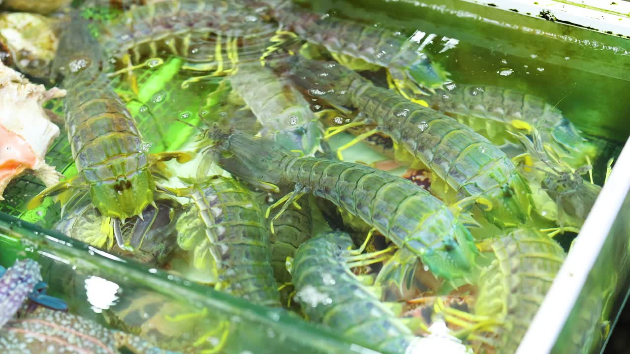 푸켓 시장의 유리 크에 있는 활기찬 호박: 화려한 조명은 활기찬 환경에서 그들의 색과 움직임을 강조합니다.