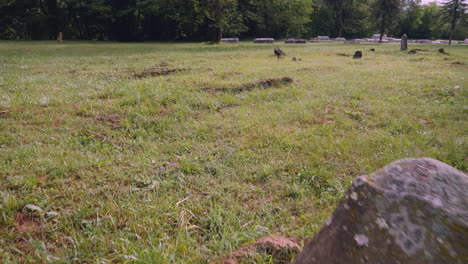 una vista panorámica cinematográfica sobre las lápidas del antiguo cementerio