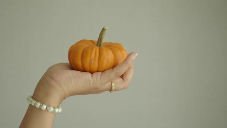 hand holding a small orange pumpkin