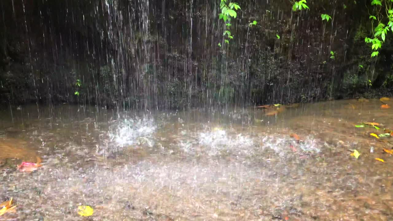 Waterfall in a forest jungle in Ubud, Bali, Indonesia