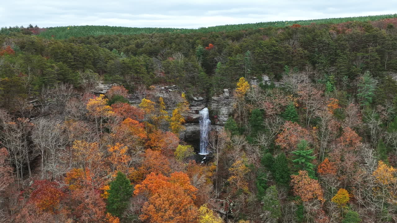 Ripresa con drone a media distanza delle cascate Laurel che scrosciano su una scogliera rocciosa, incorniciate da rami spogli e foglie autunnali gialle in una gola aspra del Tennessee.