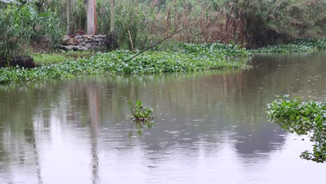 calm river with subtle changes in vegetation