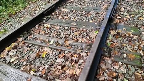 ferrocarril de hierro oxidado no utilizado cubierto de coloridas hojas de otoño en el bosque del bosque