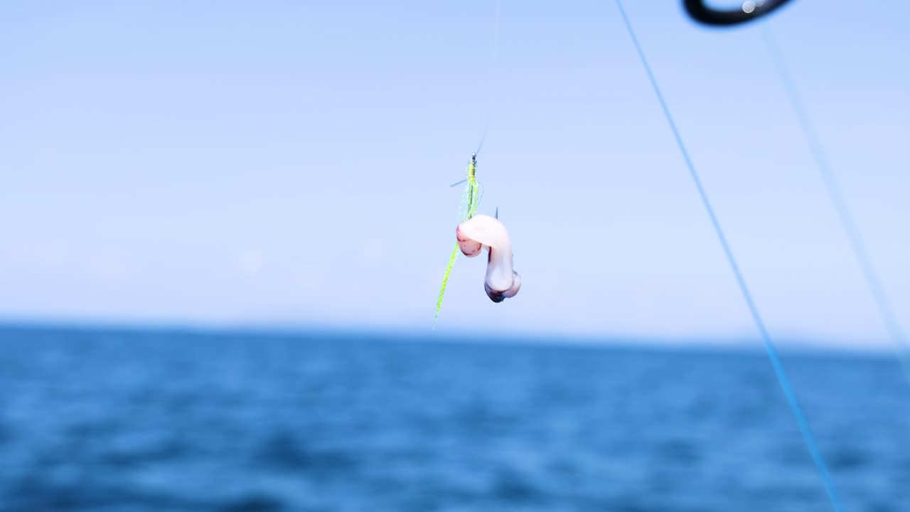A fishing line with an octopus lure swings over the ocean. Bright daylight highlights the vibrant sea and sky