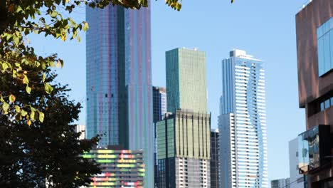 skyscrapers and trees in melbourne cityscape