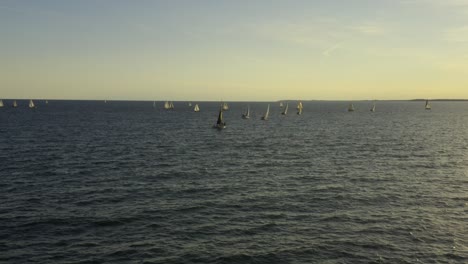 4k-drone-shots-of-sailboats-in-lake-Eries-of-coast-of-downtown-Buffalo-New-York