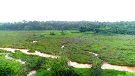 this a drone shot of a marshy area grass and narrow water streams with trees at the extremes